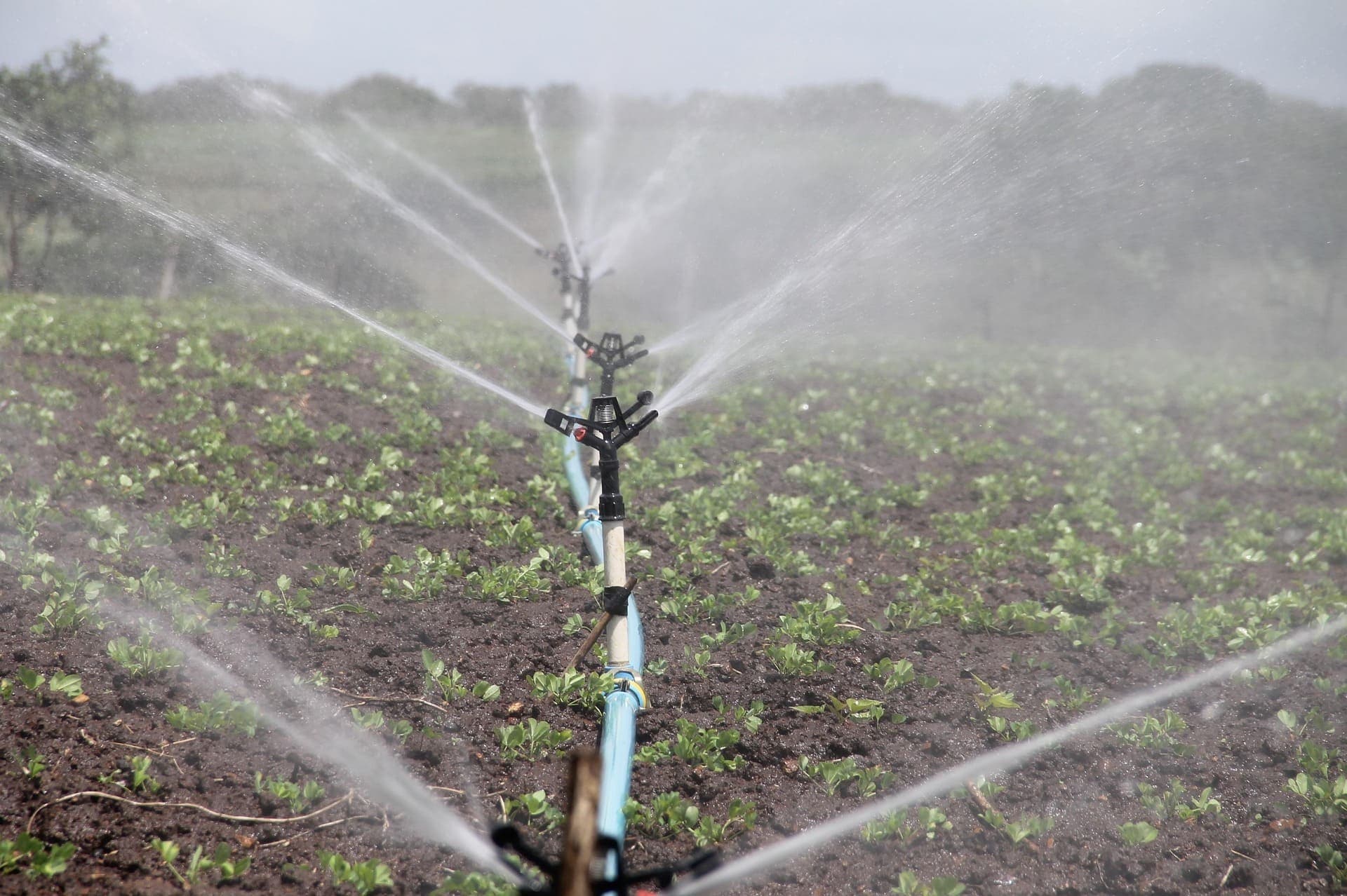 Irrigation System Installation in Nairobi