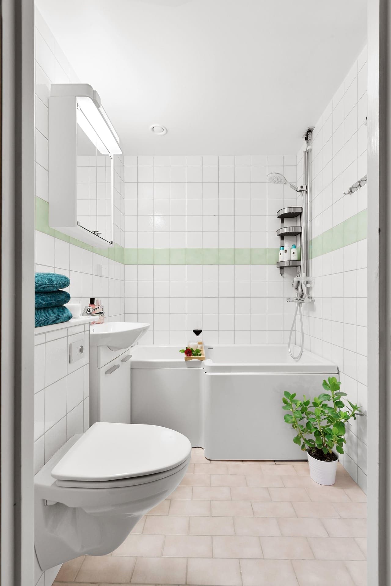 Shower and Toilet Installation in Nairobi